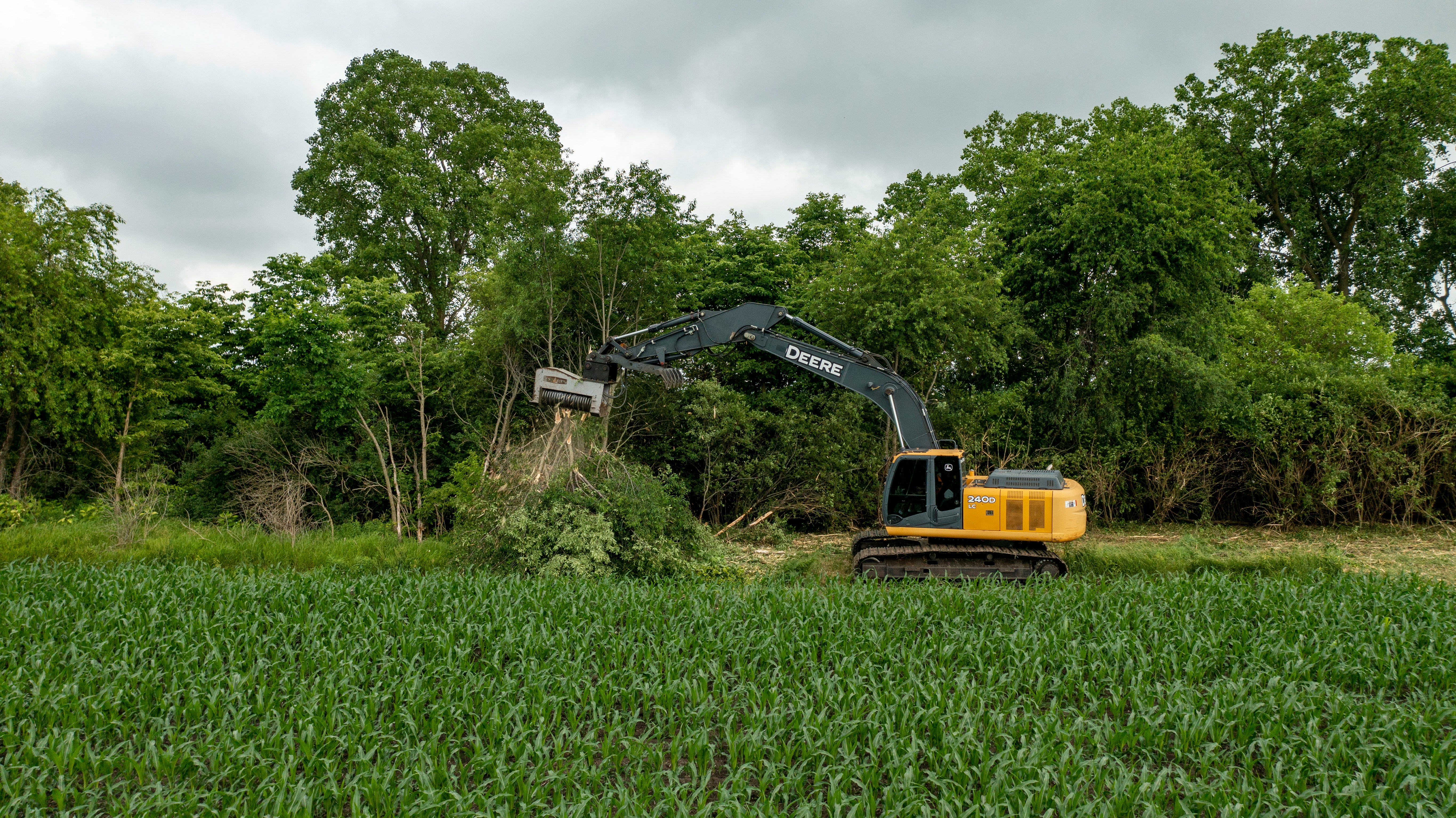 Site Clearing and Grubbing Image