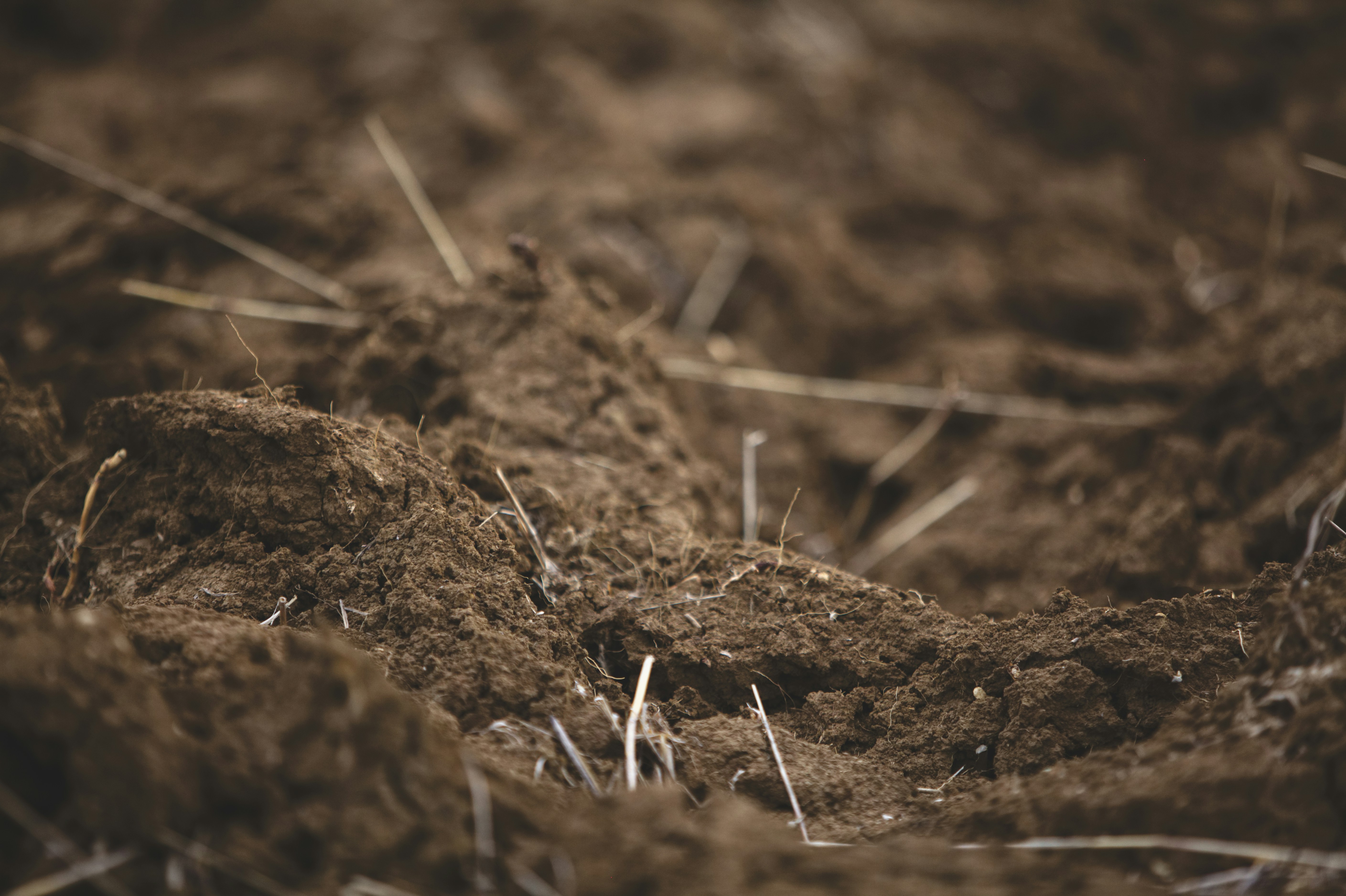 Soil Compaction Image